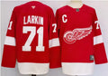 Dylan Larkin Red Wings Red Jersey All Stitched