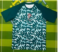 Portugal National Football Team 2024 Pre-Match Training Jersey — Green Swirl (PUMA)
